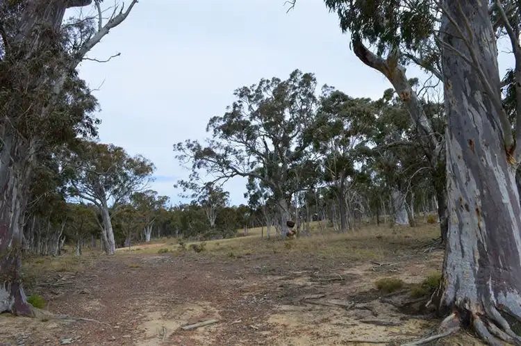 Seventh view of Homely rural property listing, 44 King St, Tarago NSW 2580