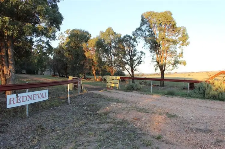 Main view of Homely rural property listing, 19 Patrick Rd, Dunedoo NSW 2844