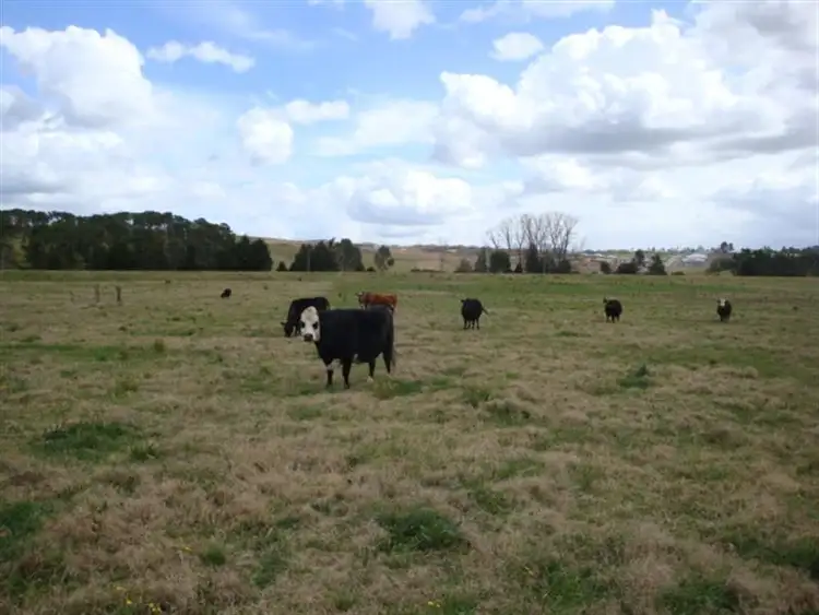 Sixth view of Homely rural property listing, 157 Dagworth Rd, Louth Park NSW 2320