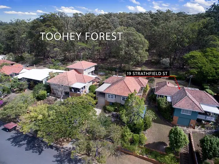 19 Strathfield St, Tarragindi QLD 4121