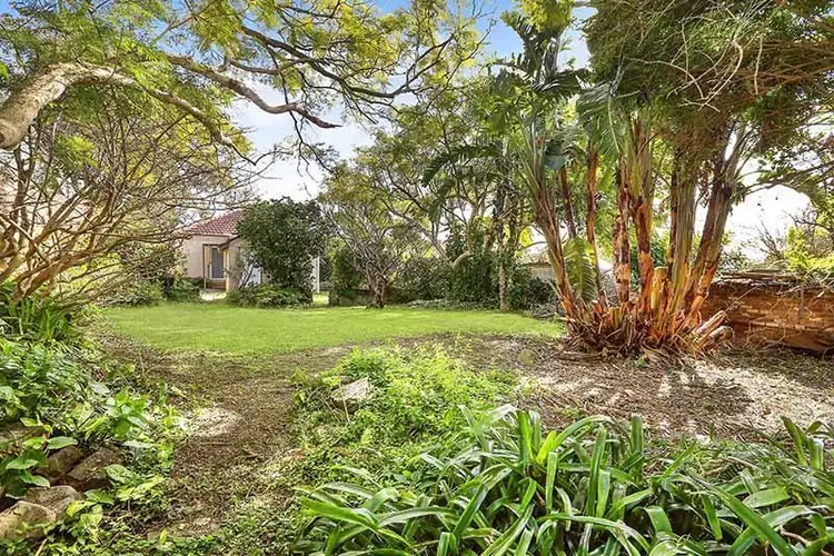 Fourth view of Homely house listing, 141 Harbord Rd, Freshwater NSW 2096
