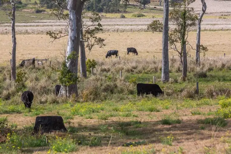 Seventh view of Homely rural property listing, Address available on request