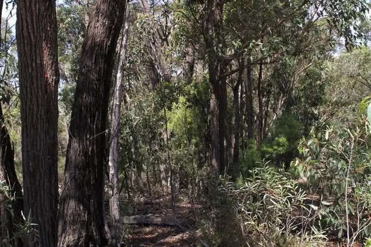 Fifth view of Homely rural property listing, 2501 Towrang Rd, Big Hill NSW 2579
