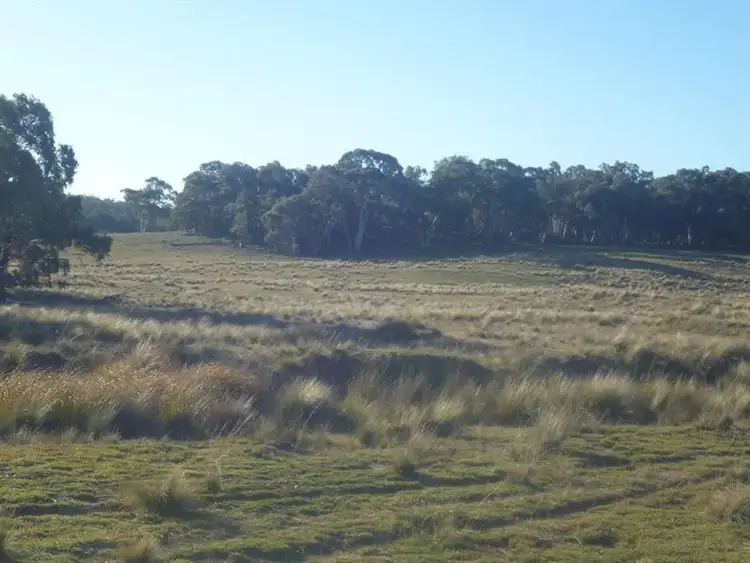 Second view of Homely rural property listing, 250 Coolabah Rd, Bungonia NSW 2580