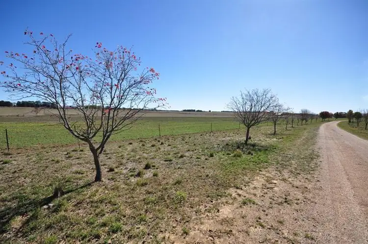 Sixth view of Homely rural property listing, 75 Whiley Rd, Orange NSW 2800