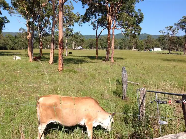 Fourth view of Homely rural property listing, 470 Old Inn Rd, Bulahdelah NSW 2423