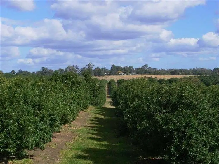 Third view of Homely rural property listing, 1172 Bulmers Rd, Hogarth Range NSW 2469