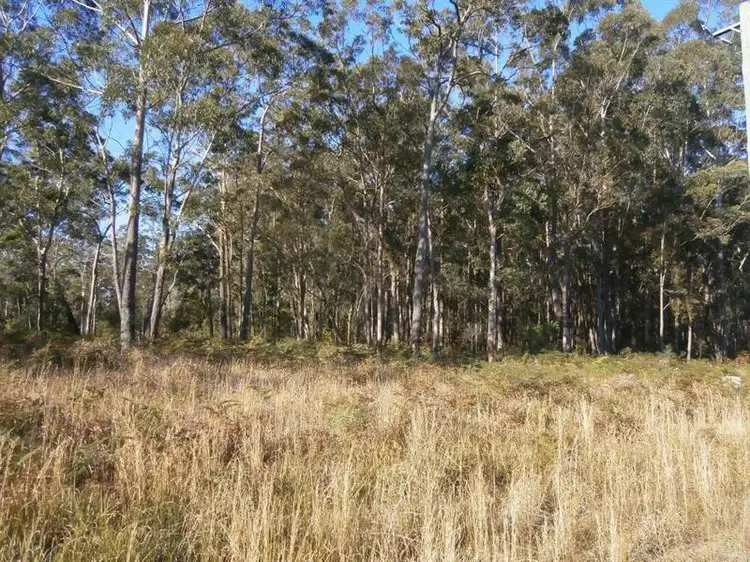 Main view of Homely land listing, Lot 16 Minimbah Rd, Nabiac NSW 2312