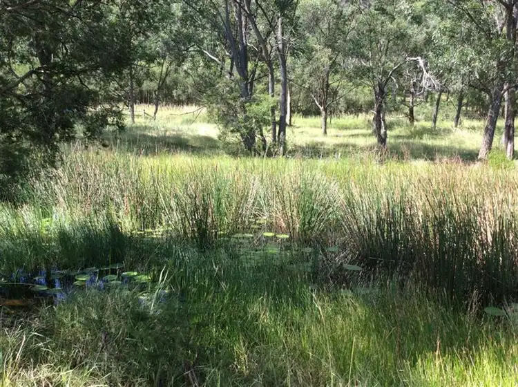 Main view of Homely rural property listing, 108 Violet Hill Rd, Boolambayte NSW 2423