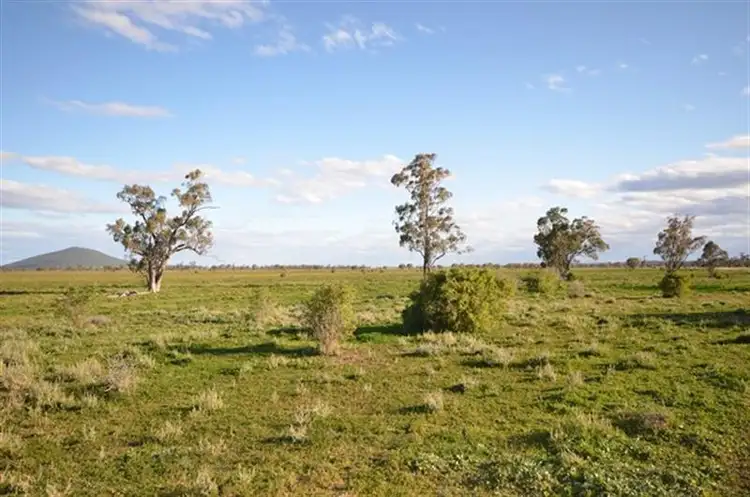 Seventh view of Homely rural property listing, 4560 Grain Valley Rd, Boggabri NSW 2382