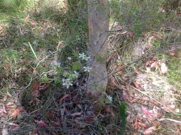 Third view of Homely rural property listing, 107 Burdekins Rd, Bulahdelah NSW 2423