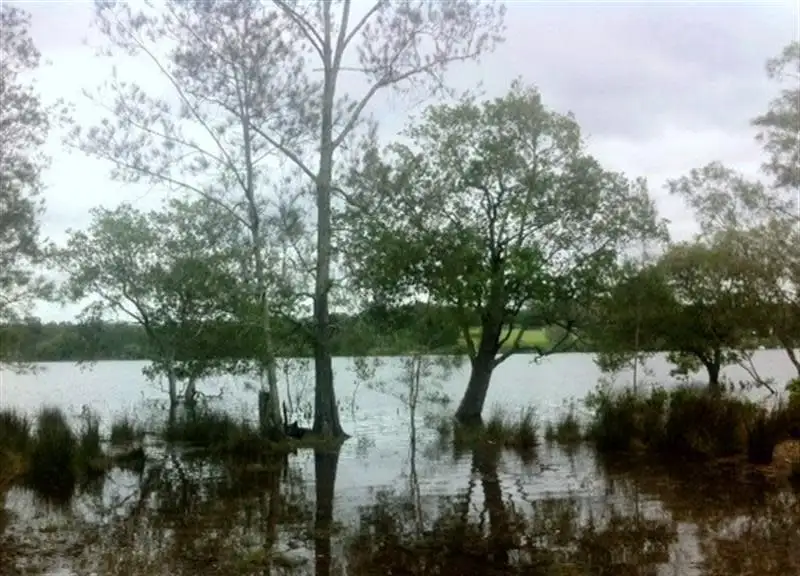 Main view of Homely land listing, Lot 4 Breckenridge St, The Branch NSW 2425