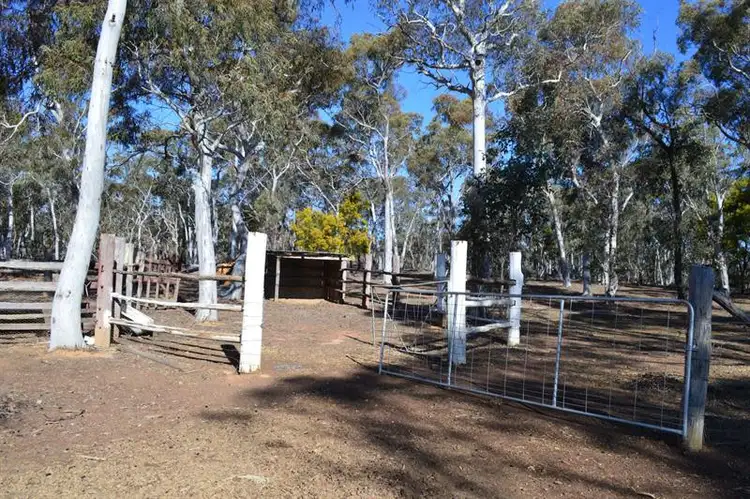 Fifth view of Homely rural property listing, 930 Sandy Point Rd, Lower Boro NSW 2580