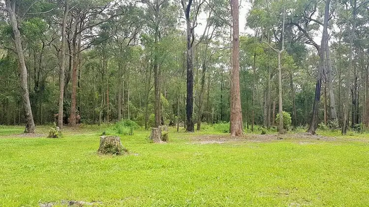 Third view of Homely rural property listing, 1495 Coomba Rd, Coomba Bay NSW 2428