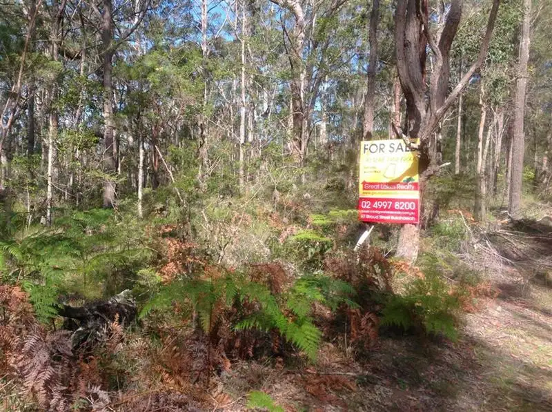 Main view of Homely rural property listing, 107 Burdekins Rd, Bulahdelah NSW 2423