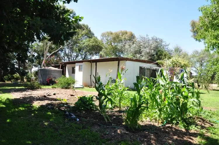 Second view of Homely rural property listing, 377 Borenore Rd, Borenore NSW 2800