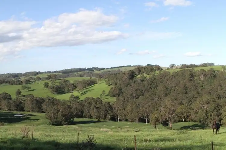 Second view of Homely rural property listing, 267 Bundanoon Rd, Exeter NSW 2579