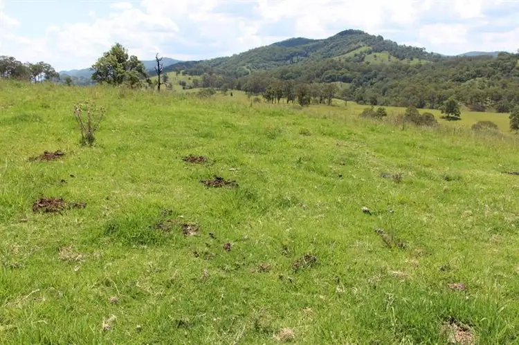 Fifth view of Homely rural property listing, Lot A Kia Ora Rd, Gloucester NSW 2422