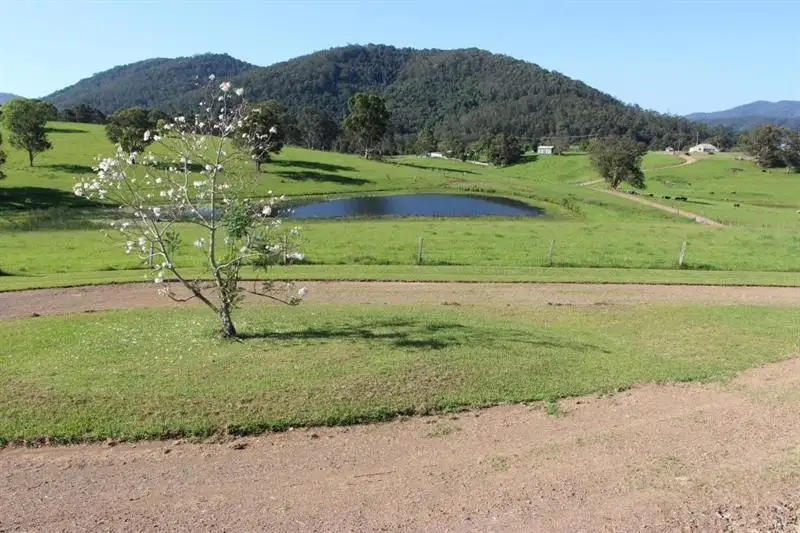 Main view of Homely rural property listing, 3694 Bucketts Way, Krambach NSW 2429