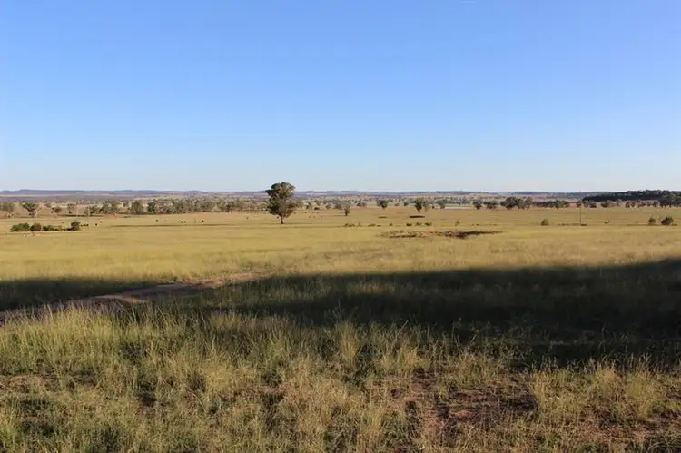 Second view of Homely rural property listing, 19 Patrick Rd, Dunedoo NSW 2844
