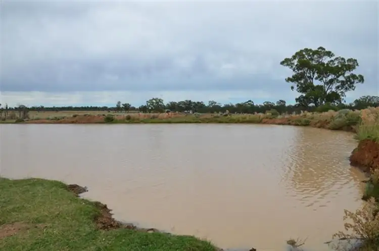 Seventh view of Homely rural property listing, 147 Eastview Rd, Boggabri NSW 2382