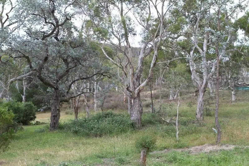 Main view of Homely land listing, Address available on request