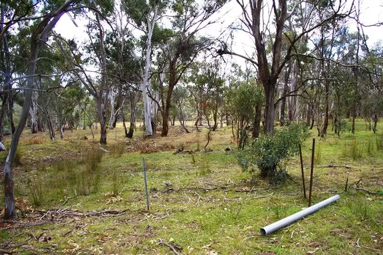 Seventh view of Homely rural property listing, 126 Rifle Range Rd, Uralla NSW 2358