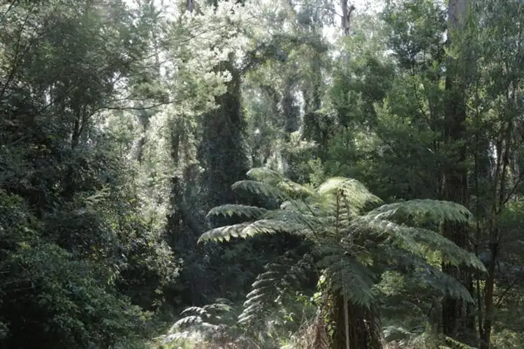 Sixth view of Homely rural property listing, Address available on request