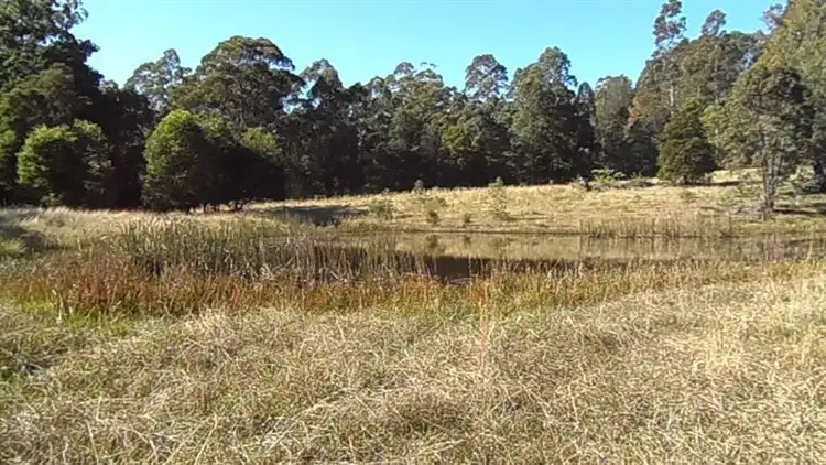 Sixth view of Homely rural property listing, 289 Minimbah Rd, Nabiac NSW 2312