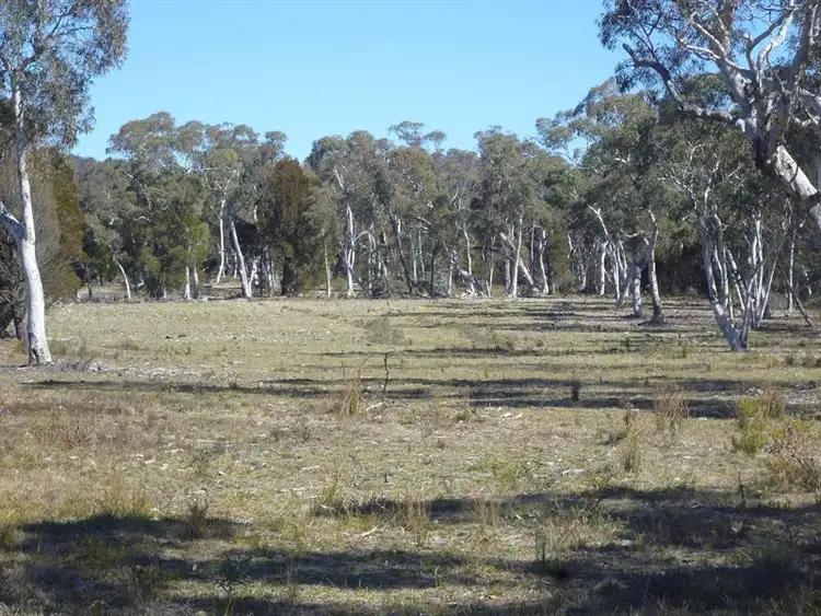 Seventh view of Homely rural property listing, 386 Foxs Elbow Rd, Warri NSW 2622