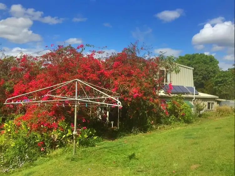 Third view of Homely rural property listing, Lot 4 Wallaby Rd, Stony Chute NSW 2480