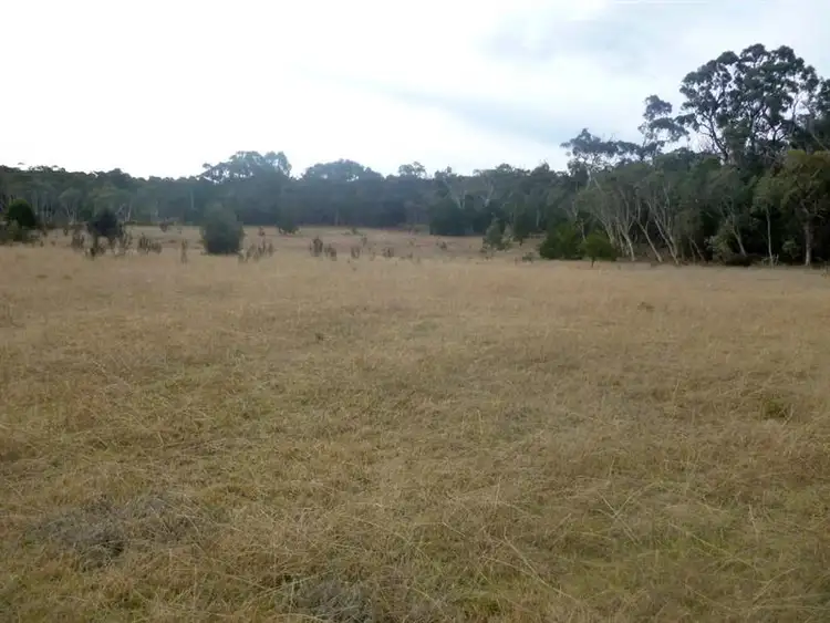 Fourth view of Homely rural property listing, 1533 Sandy Point Rd, Mayfield NSW 2580
