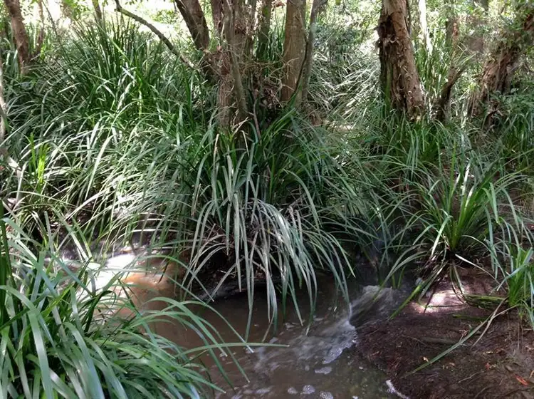 Seventh view of Homely rural property listing, 17 Frys Creek Rd, Bulahdelah NSW 2423