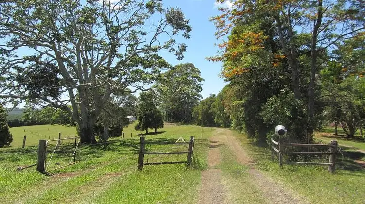 Main view of Homely rural property listing, Lot 3 196 Fletcher Rd, Dunoon NSW 2480