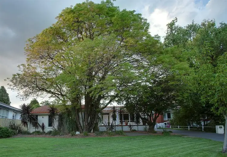 Second view of Homely house listing, 5 Linden Ave, Orange NSW 2800