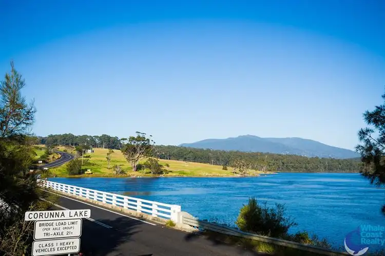Main view of Homely rural property listing, Lot 201 Princes Hwy, Corunna NSW 2546