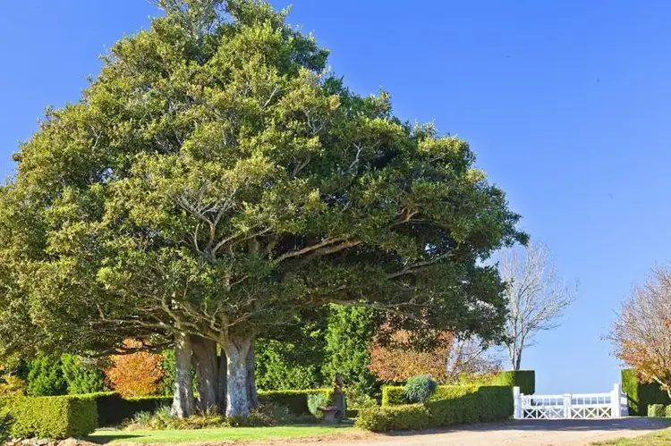 Fourth view of Homely rural property listing, 326 Pearsons Lane, Robertson NSW 2577