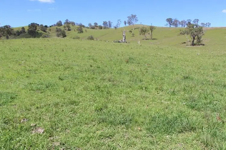 Third view of Homely rural property listing, 1610 Bucketts Way, Gloucester NSW 2422