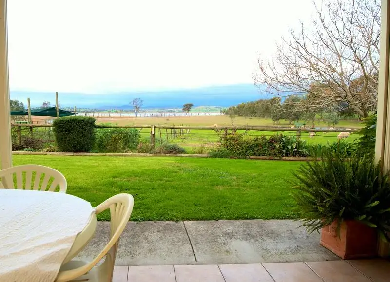 Main view of Homely rural property listing, 1156 Table Top Rd, Table Top NSW 2640