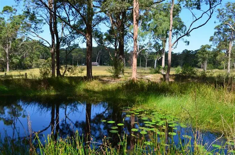 Main view of Homely rural property listing, 128 Emu Creek Rd, Bulahdelah NSW 2423