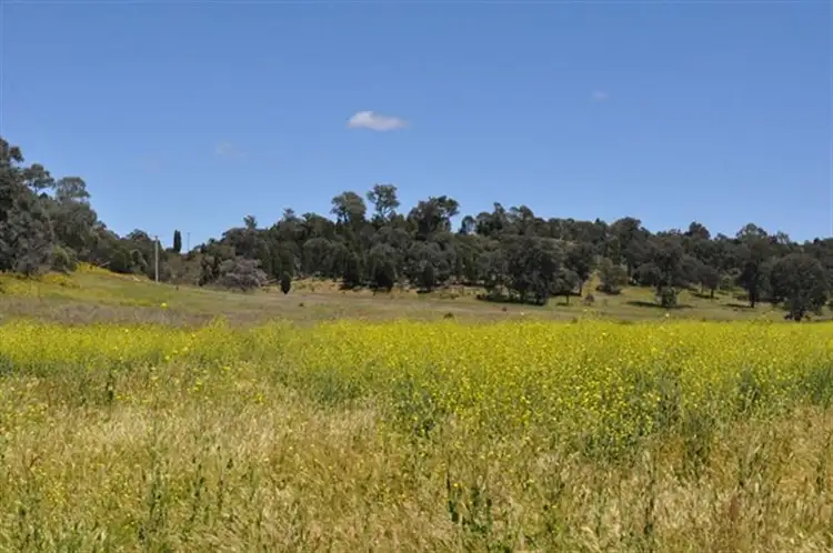 Sixth view of Homely rural property listing, 101R Old Mendooran Rd, Dubbo NSW 2830