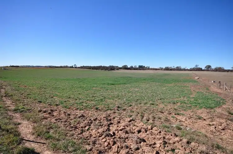 Third view of Homely rural property listing, 75 Whiley Rd, Orange NSW 2800