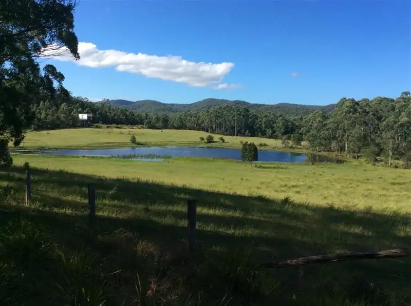 Main view of Homely rural property listing, 220 Squires Rd, Bulahdelah NSW 2423