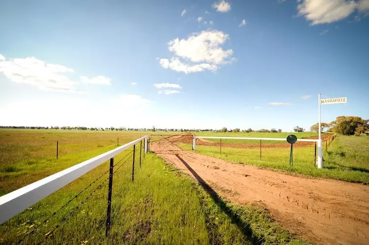 Main view of Homely rural property listing, 1118 Narromine-Eumungerie Rd, Dubbo NSW 2830