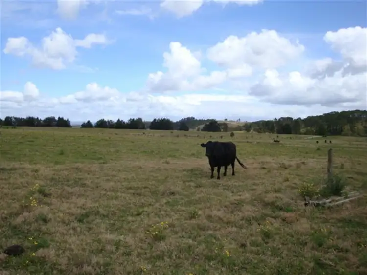 Fifth view of Homely rural property listing, 157 Dagworth Rd, Louth Park NSW 2320