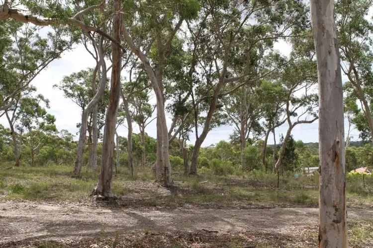 Second view of Homely studio listing, 8 Wistringia Cl, Tallong NSW 2579