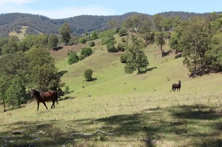 99 Kundle Creek Rd, Gloucester NSW 2422