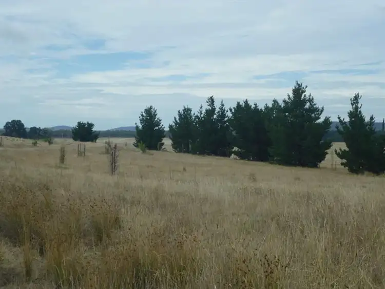 Fourth view of Homely rural property listing, 2341 Mayfield Rd, Tarago NSW 2580