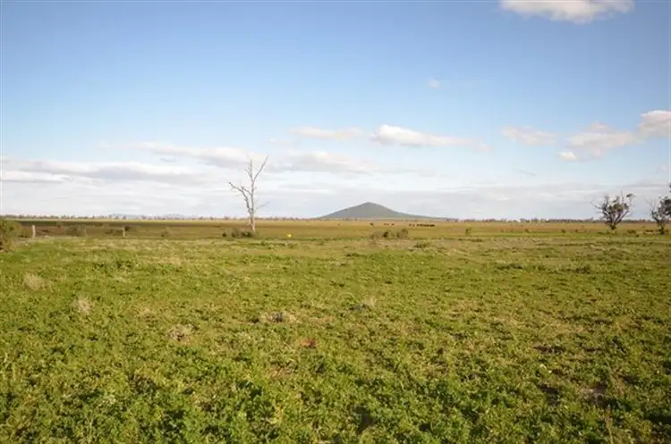 Sixth view of Homely rural property listing, 4560 Grain Valley Rd, Boggabri NSW 2382