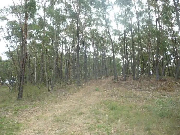 Sixth view of Homely rural property listing, 8170 Nerriga Rd, Tomboye NSW 2622